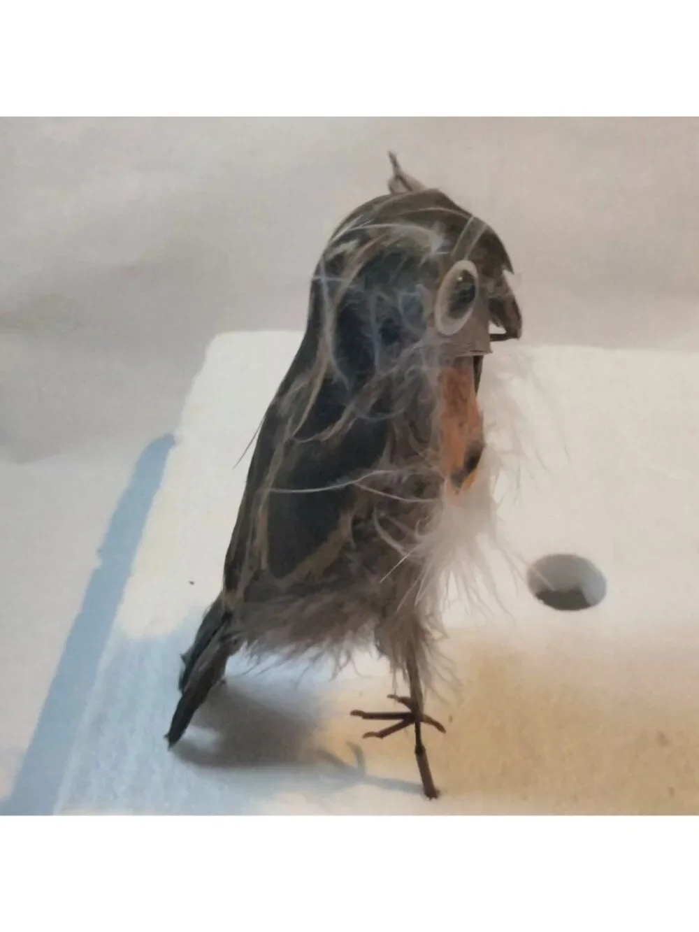 Feathered Owl Bird Figure On Wire Rustic Lodge Cabin Decor Handmade Craft